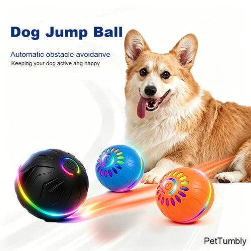 Moduvo™ SmartPlay Dog Ball