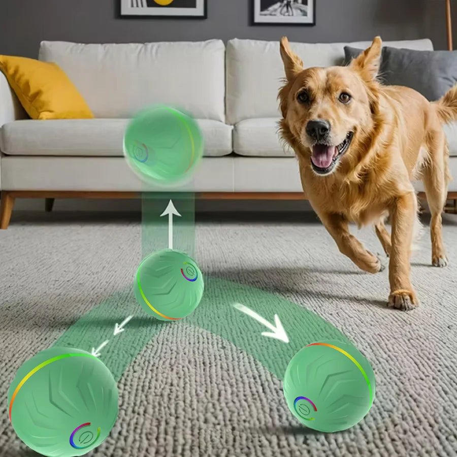 Moduvo™ SmartPlay Dog Ball