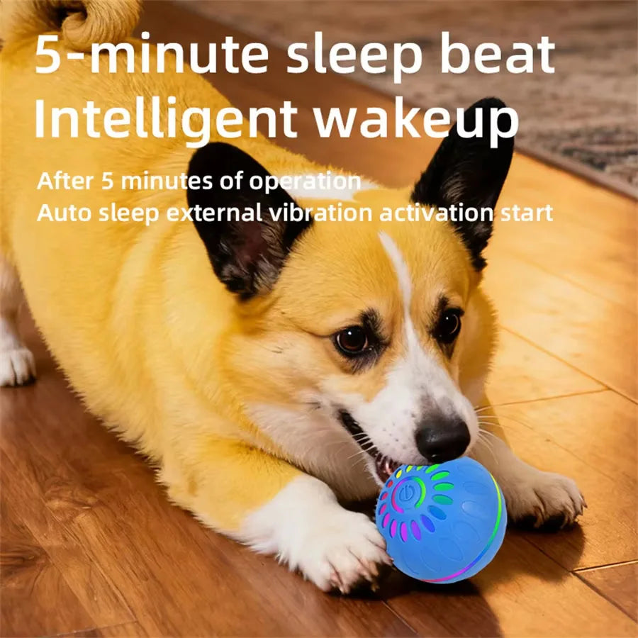 Moduvo™ SmartPlay Dog Ball